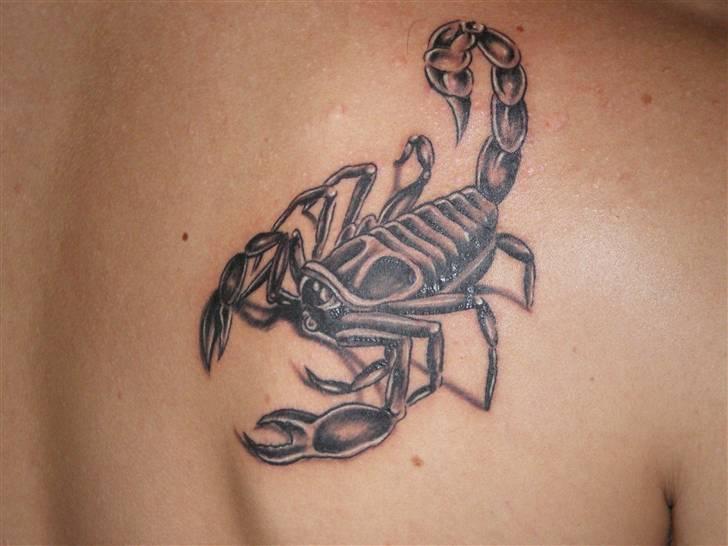 Mand Martin H billede 4