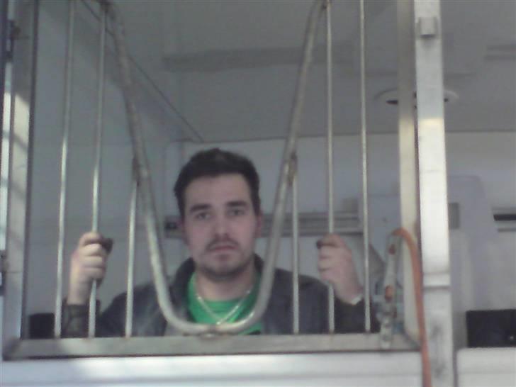 Mand Sommer - hehe vi ku ikk lige lade være med at lave lidt grin en dag på jobbet hehe det er mit i en heste-bil.. hehe billede 5