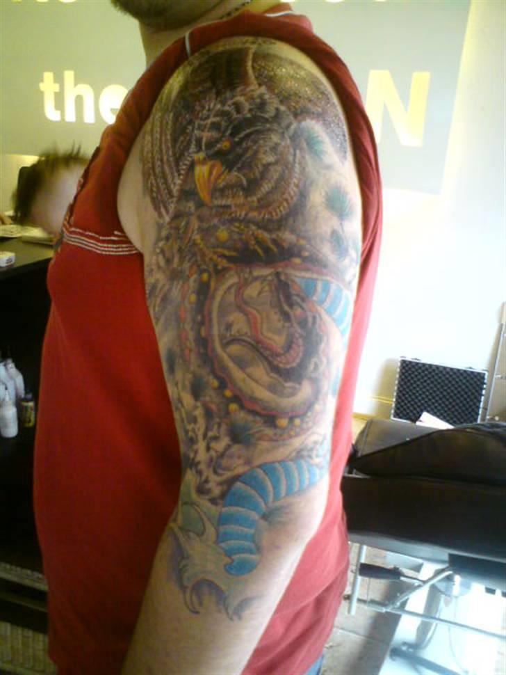 Mand Sommer billede 6