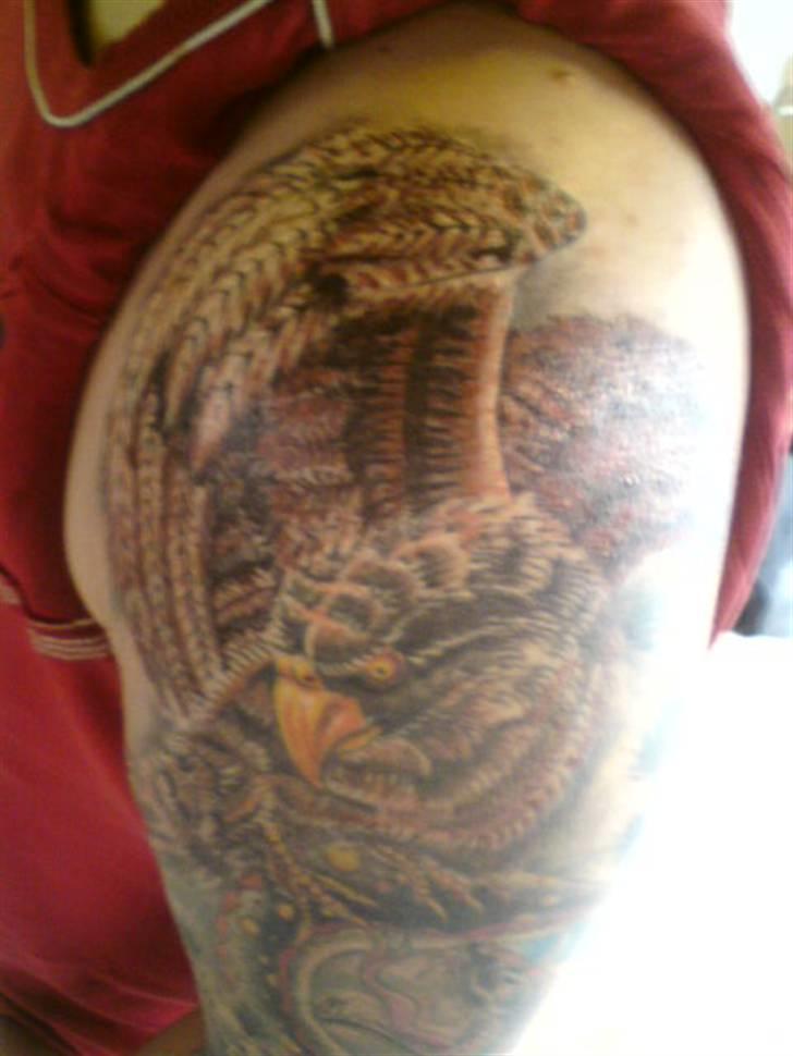 Mand Sommer billede 7