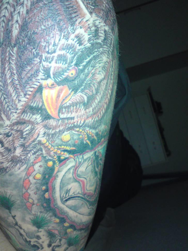 Mand Sommer billede 8