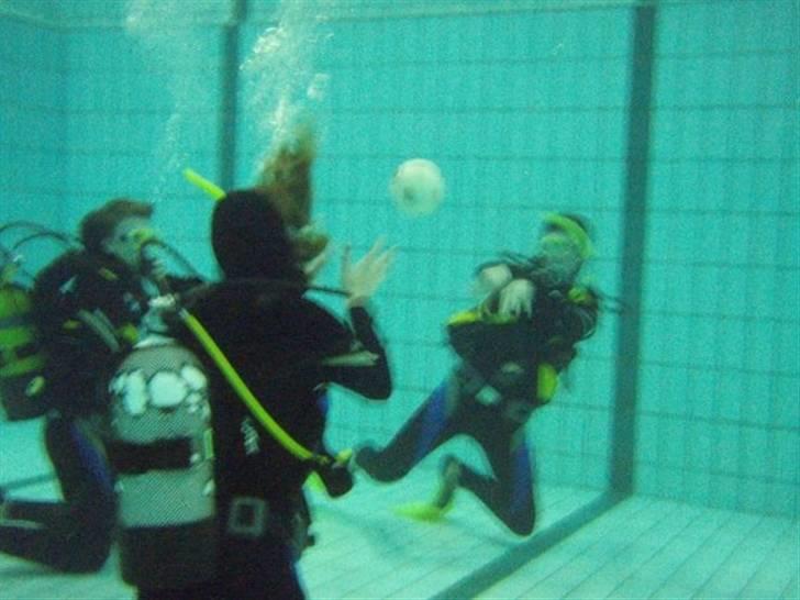 Mand Ditlev Pless - Dykning. Har dykkercerfitkat til sommer... Nice billede 4