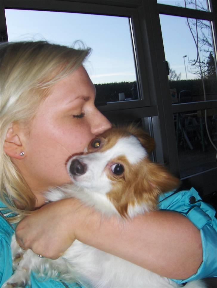 Kvinde Anette - Min ene elskede hund <3 billede 4