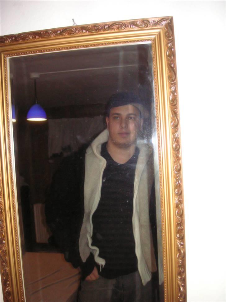 Mand Danni billede 5