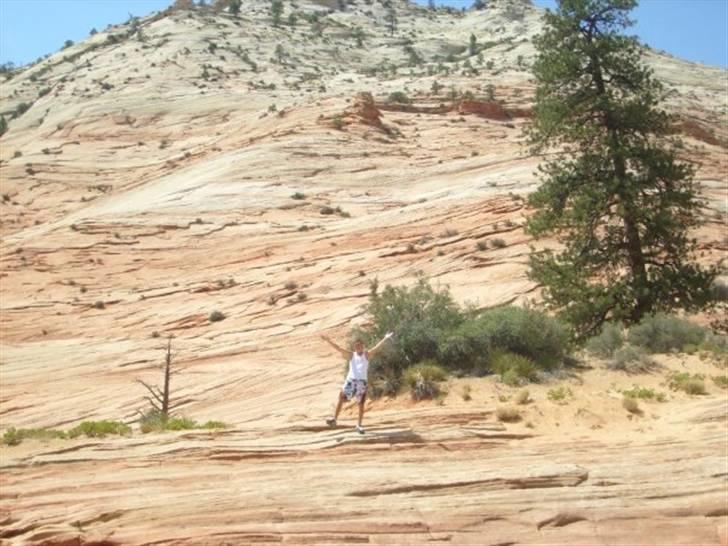 Mand Jylland91 billede 18