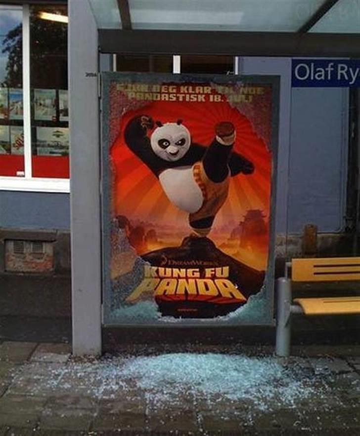 Mand LØVEN billede 19