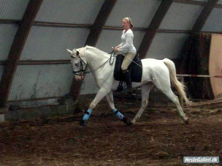 Kvinde Line  - mig og Zomaar den. 05-07-09 billede 8