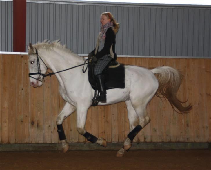 Kvinde Line  billede 11