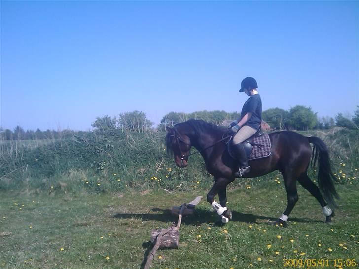 Kvinde Prinsesse Liza<3 billede 6