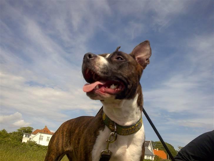 Kvinde Camilla billede 2