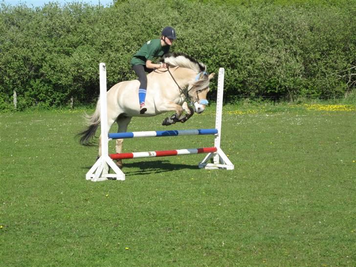 Kvinde Kagen - mig og min pony Lucas...ja og jeg ved at min strømper er mega seje (: billede 9