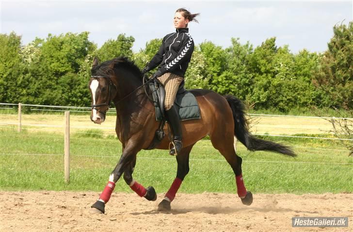 Kvinde Sara - min sveske, cazon! billede 17