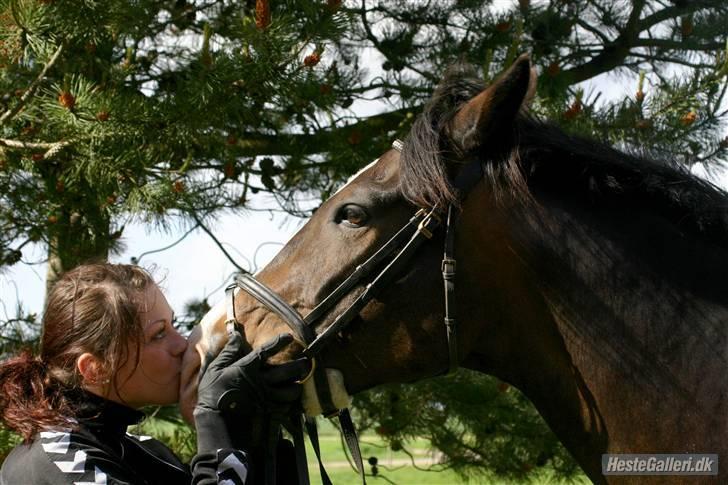 Kvinde Sara - Vestergaardens Cazon. Maj 2009 billede 18