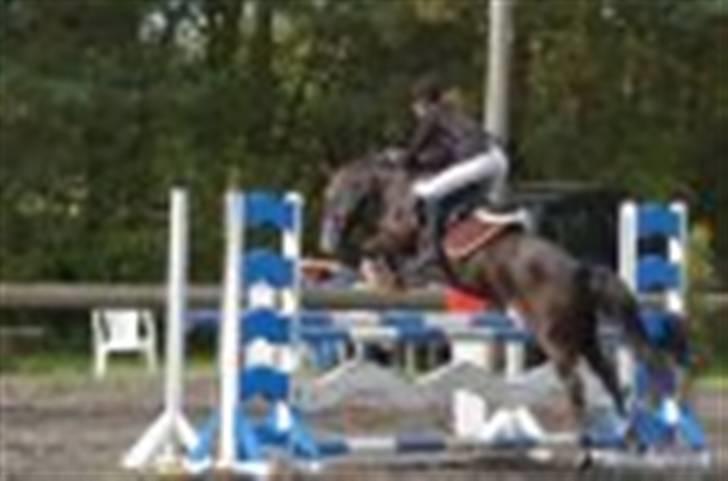 Kvinde Christina - Min skønne pony billede 4