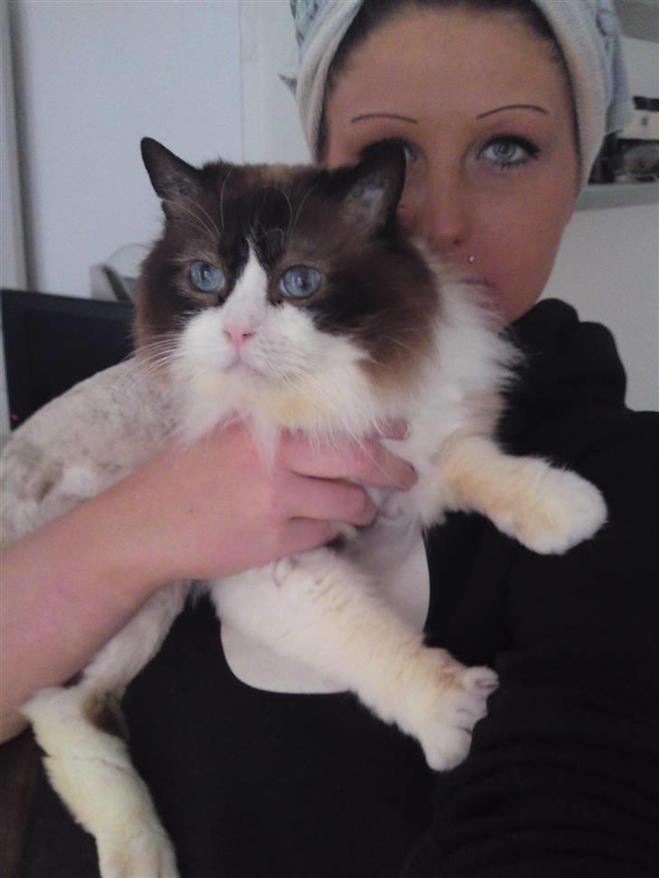 Kvinde Judy billede 14