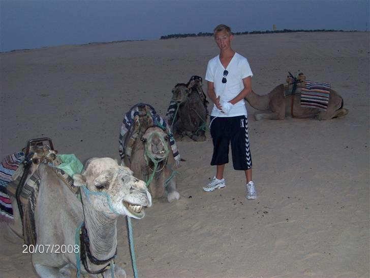 Mand Mads Kejlstrup billede 7