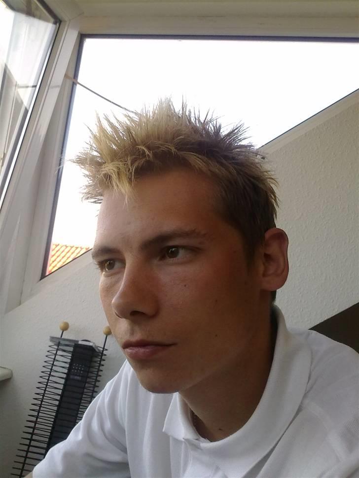 Mand Brian billede 6