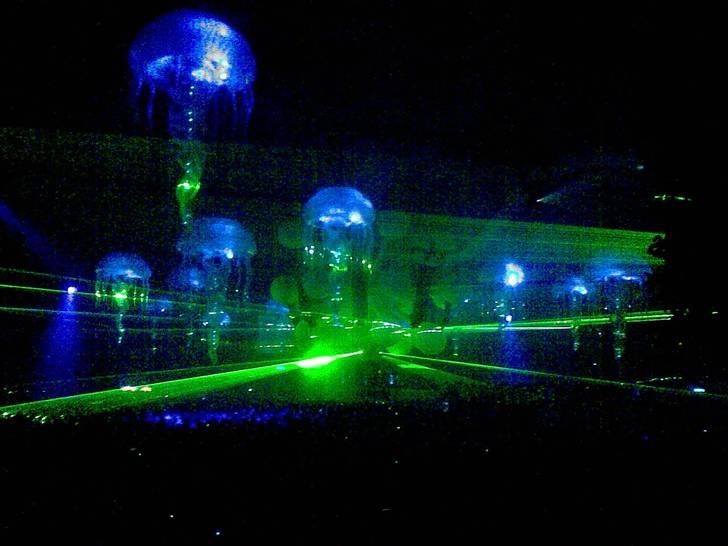 Mand Dan  - Sensation 08 kbh billede 6