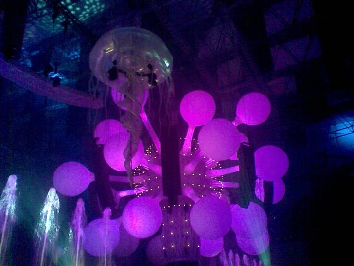 Mand Dan  - Sensation 08 kbh billede 7