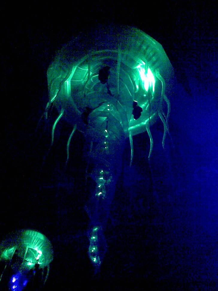 Mand Dan  - Sensation 08 kbh billede 8