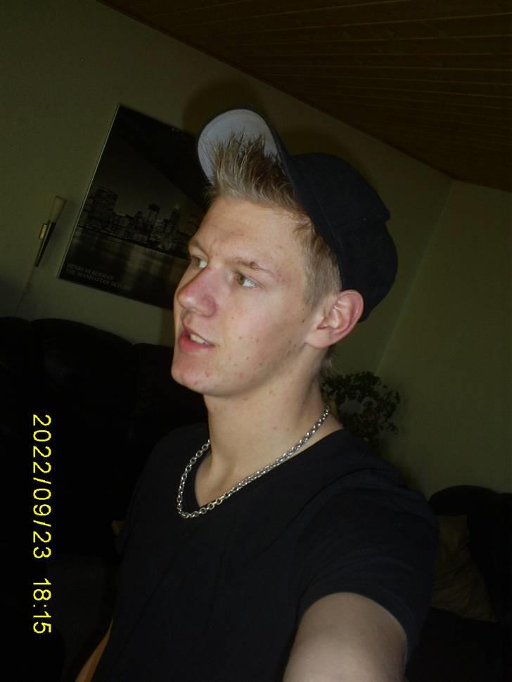 Mand Martin billede 6