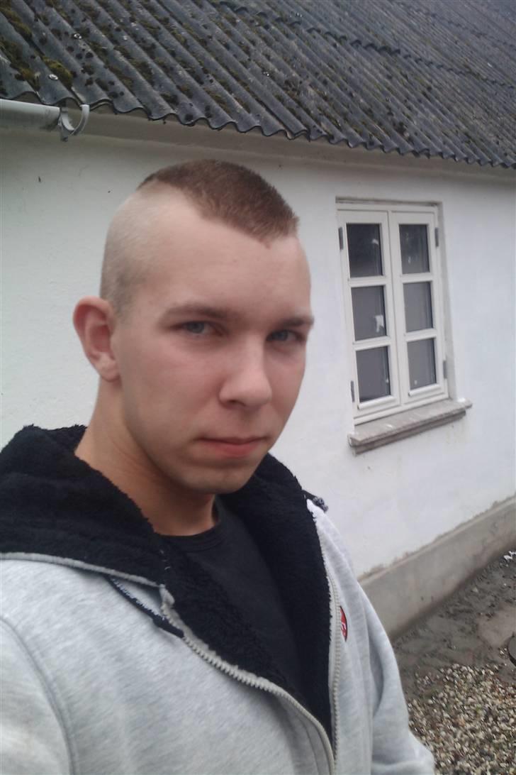 Mand Ronnie billede 1