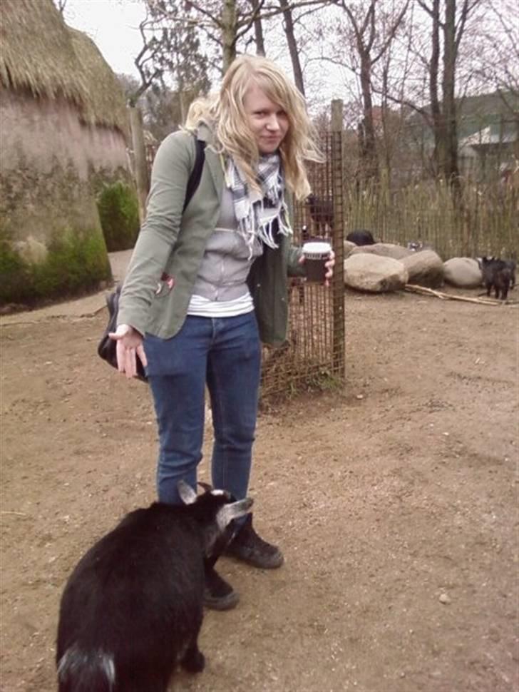 Kvinde Sara -  i Zoo med en veninde x) - Gede-opmærksomhed! hehe ;b billede 5