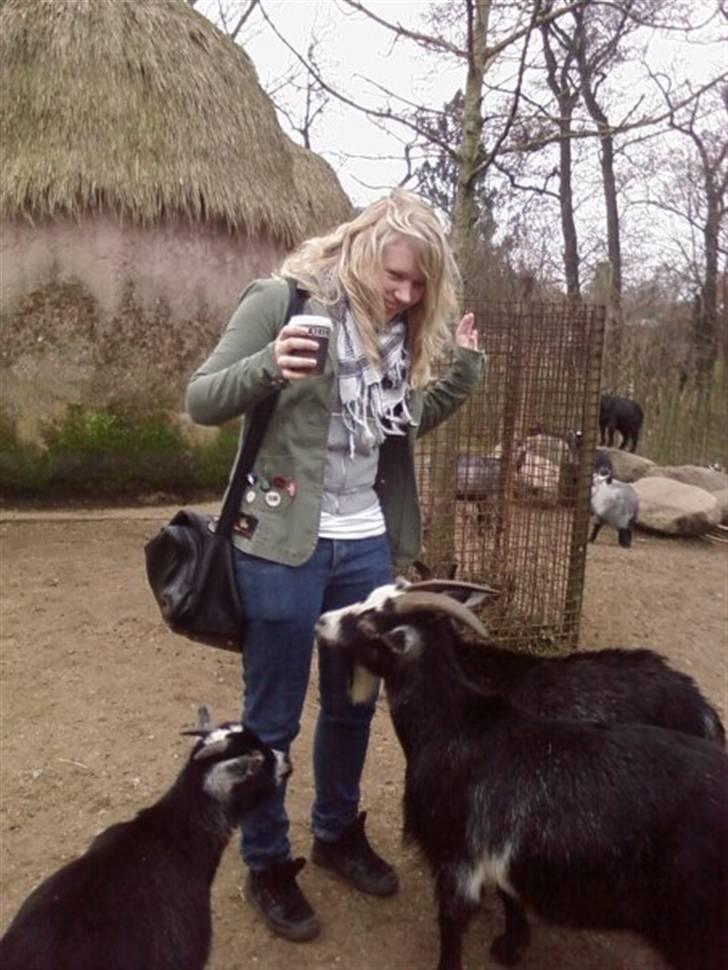 Kvinde Sara -  i Zoo med en veninde x) - Gede-attack!! argh :b billede 6