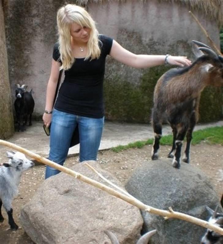 Kvinde Sara -  i Zoo med en veninde x) - Aer en sød lille ged :b billede 8