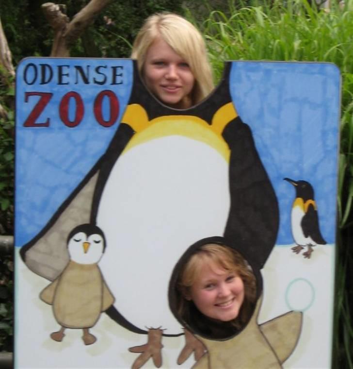 Kvinde Sara -  i Zoo med en veninde x) - Som pingviner :D haha billede 9