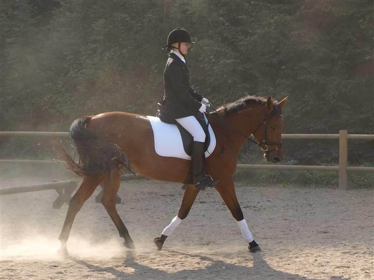 Kvinde Pernille - Dressur sep 08 billede 2