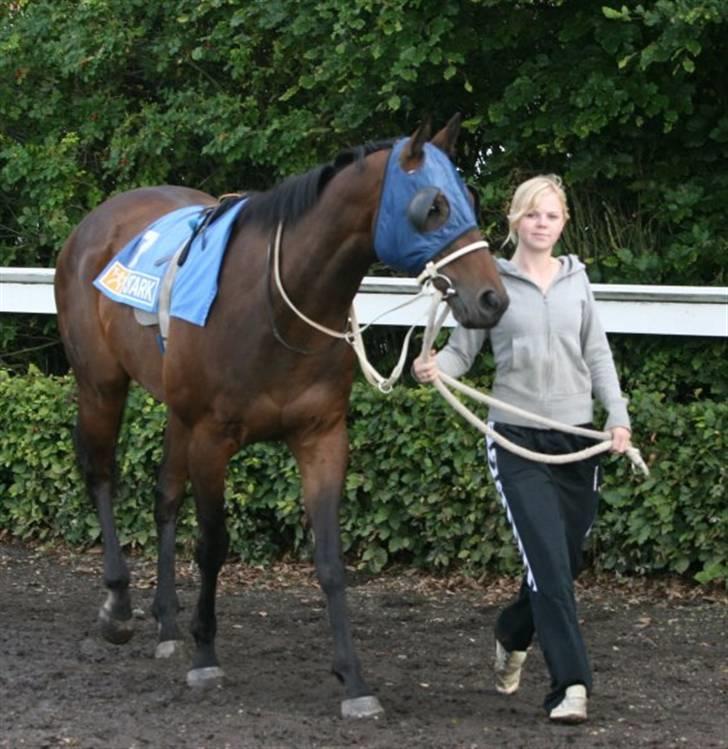 Kvinde Pernille - Mig og Mehmaas på vej til løb d. 13. august :) billede 5