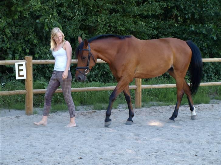 Kvinde Pernille - Mig og min hest :) billede 6