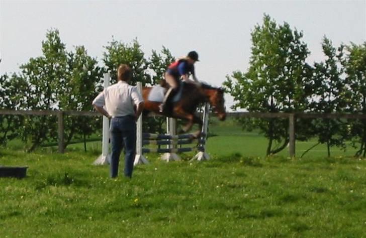 Kvinde Pernille - tror vi er mest til springning :D billede 7