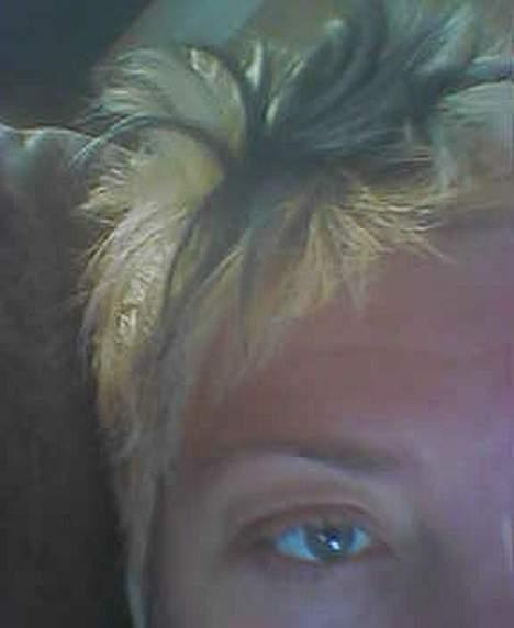 Kvinde TAZ - ØH - min lillebrors kunstværk :-) billede 12