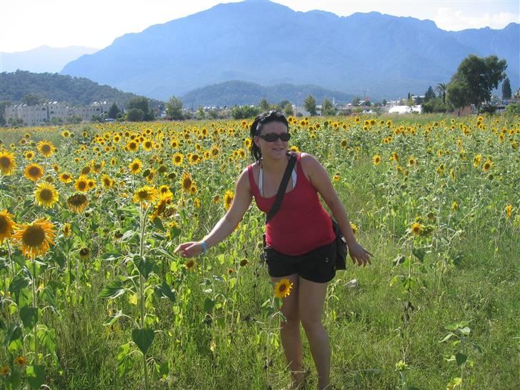 Kvinde Helene - Tyrkiet 2008... total vild med solsikker! billede 15