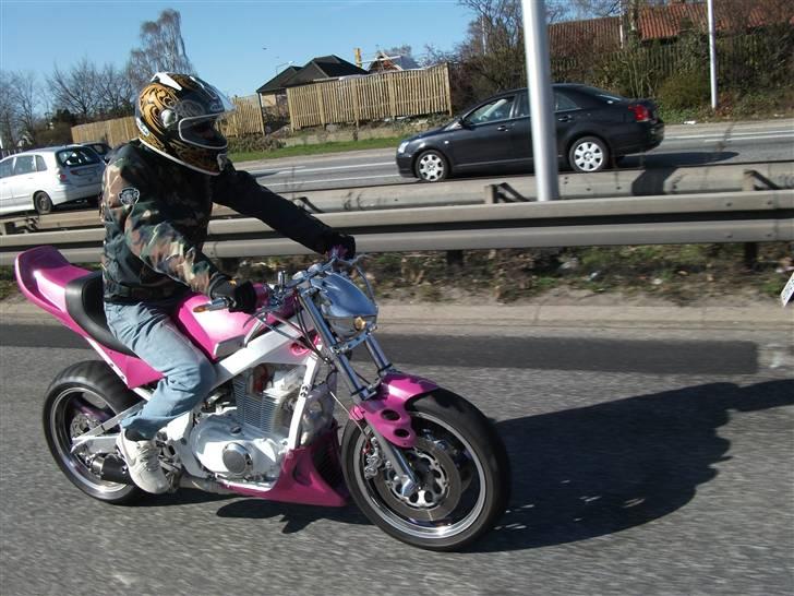 Mand mikkel - min gser billede 5