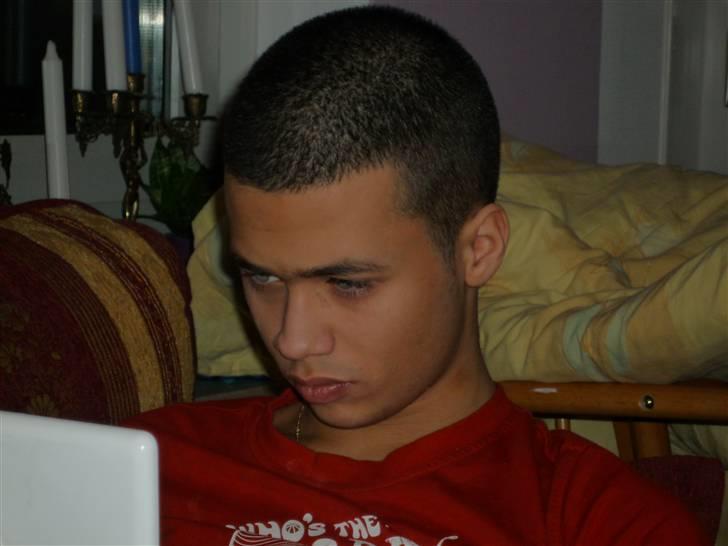 Mand Sammy - Meget koncenteret med computer hehe billede 4