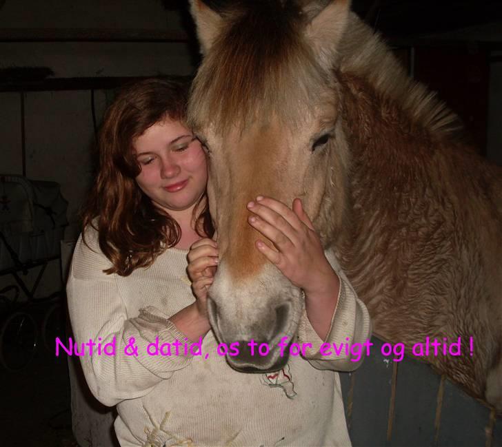 Kvinde Anne billede 3