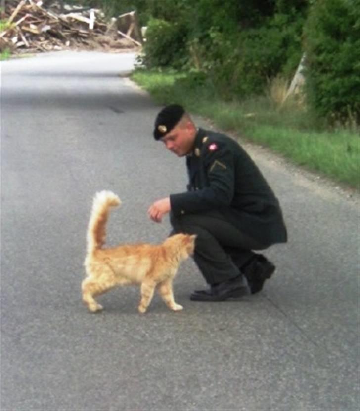 Mand Thomas B. Rasmussen billede 6