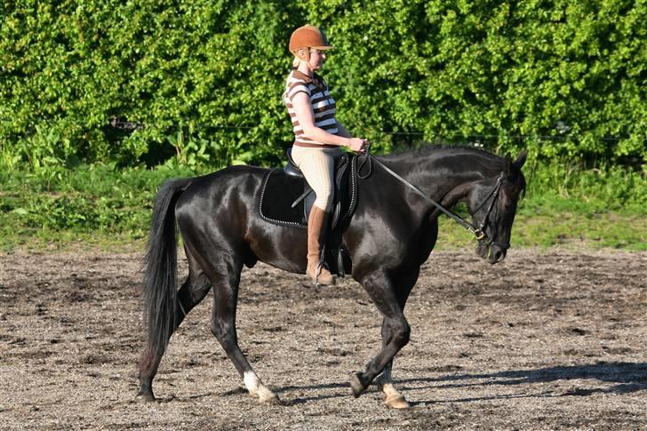 Kvinde Tanja  billede 3