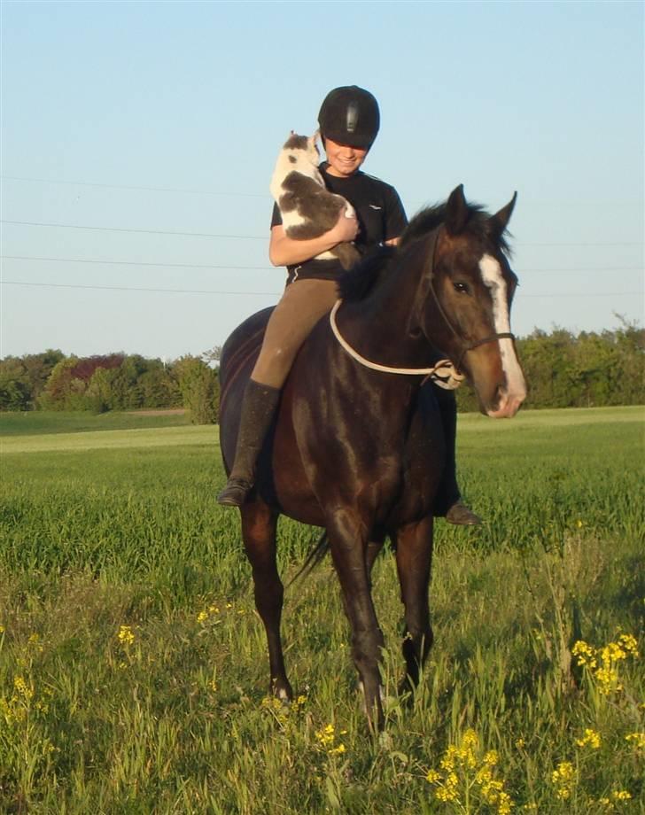 Kvinde Ditte - Min unghest Giza & jeg, sammen med min kat Simba :) . Sommer-09.  billede 5