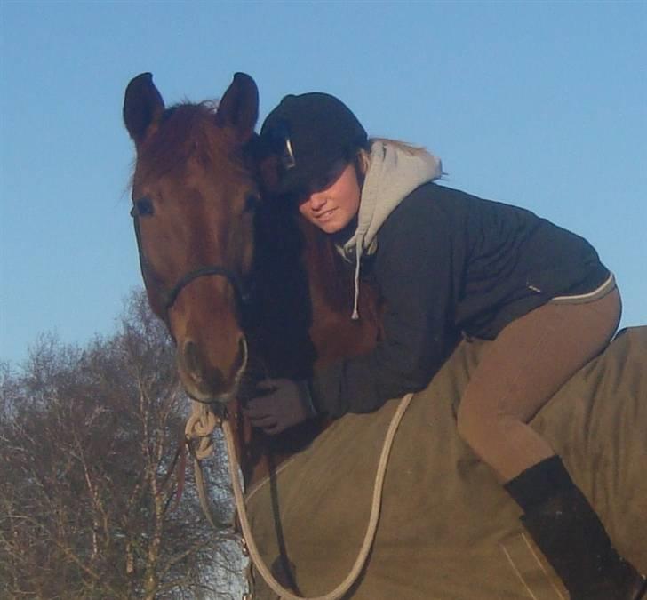 Kvinde Ditte - Igen, Ness&jeg. sidste ridetur, inden hun blev aflivet d. 19.02.09. Life is never what it´s seems to be, pictures shows more than words can  tell.   billede 7