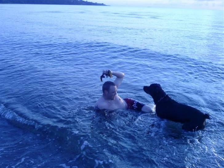 Mand Jack Hindborg - mig og min dejlige rottweiler Bosco billede 6