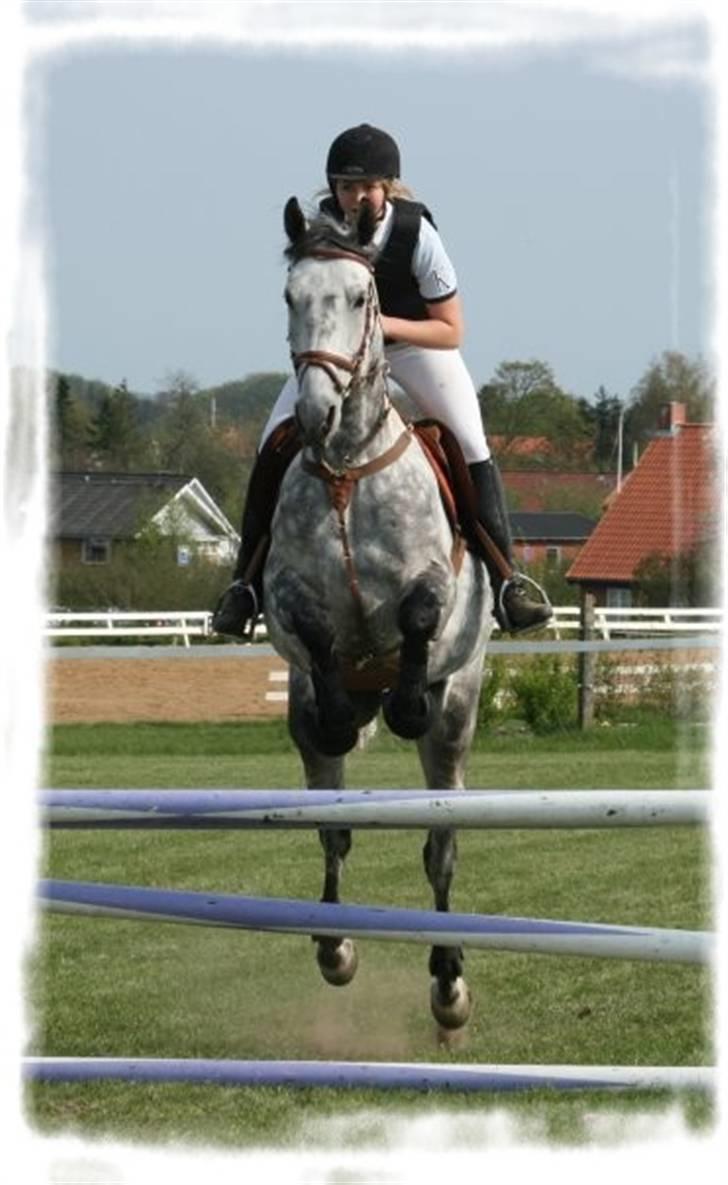 Kvinde Mette Astrup - mig og min til hest til spring stævne. billede 8