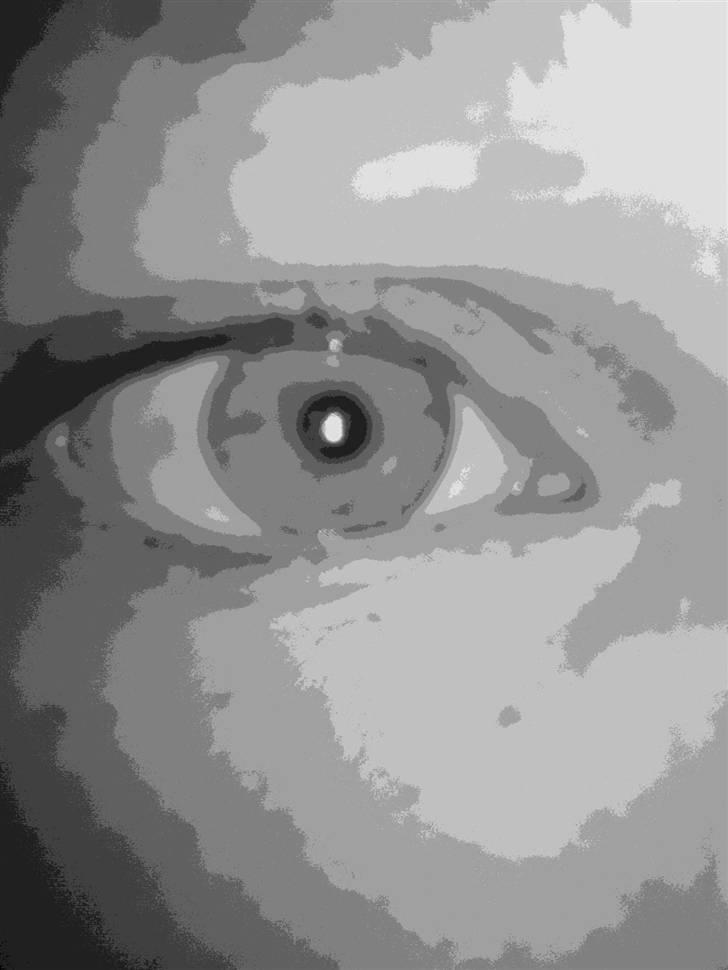 Kvinde Liv Vendelboe Rosenkvist billede 2