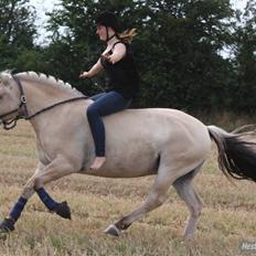 Kvinde LINE ANDERSEN *