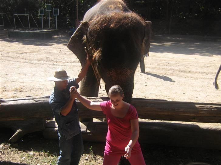 Kvinde YIIR LOTTE (: - årrh sidde på en elefant snabel (: billede 11