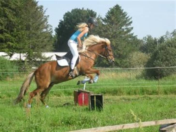 Kvinde Rie - Passion <3 Min ene hest & jeg billede 11