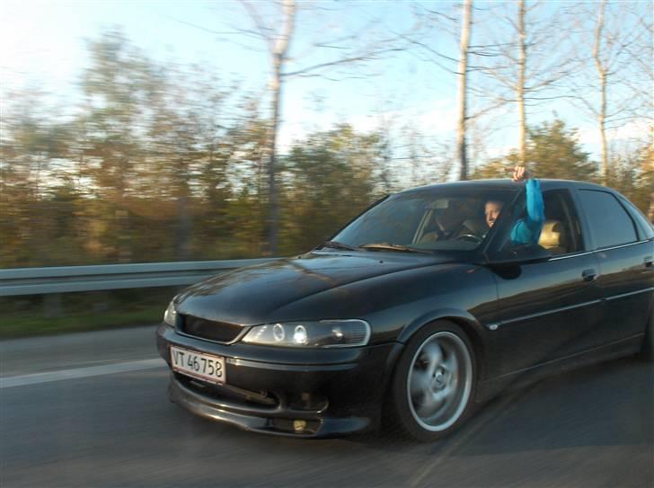 Mand nic billede 5